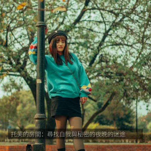 托芙的房間：尋找自我與秘密的夜晚的迷途 海报